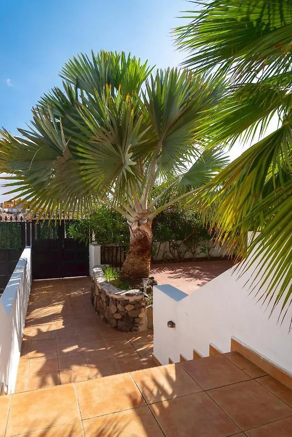 Casa La Palmera Corralejo 0*,